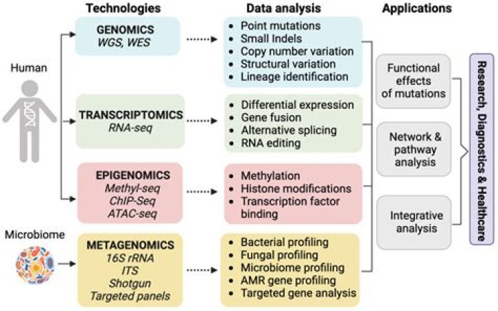 Clarifying David Efron Age: Is It a Person or a Powerful Bioinformatics Tool?