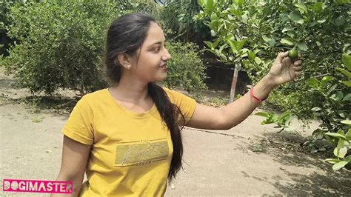 Exploring Viralkand.com: Your Hub for Trending Indian Stories and Videos