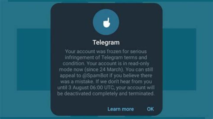 Raaxada Telegram: Your Guide to Enjoying the App More Today