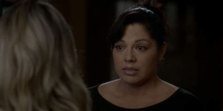When Does Callie Leave Grey's Anatomy? Her Story and Farewell
